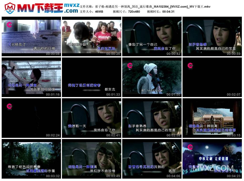 崔子格-相遇是另一种别离_国语_流行歌曲_MA102384